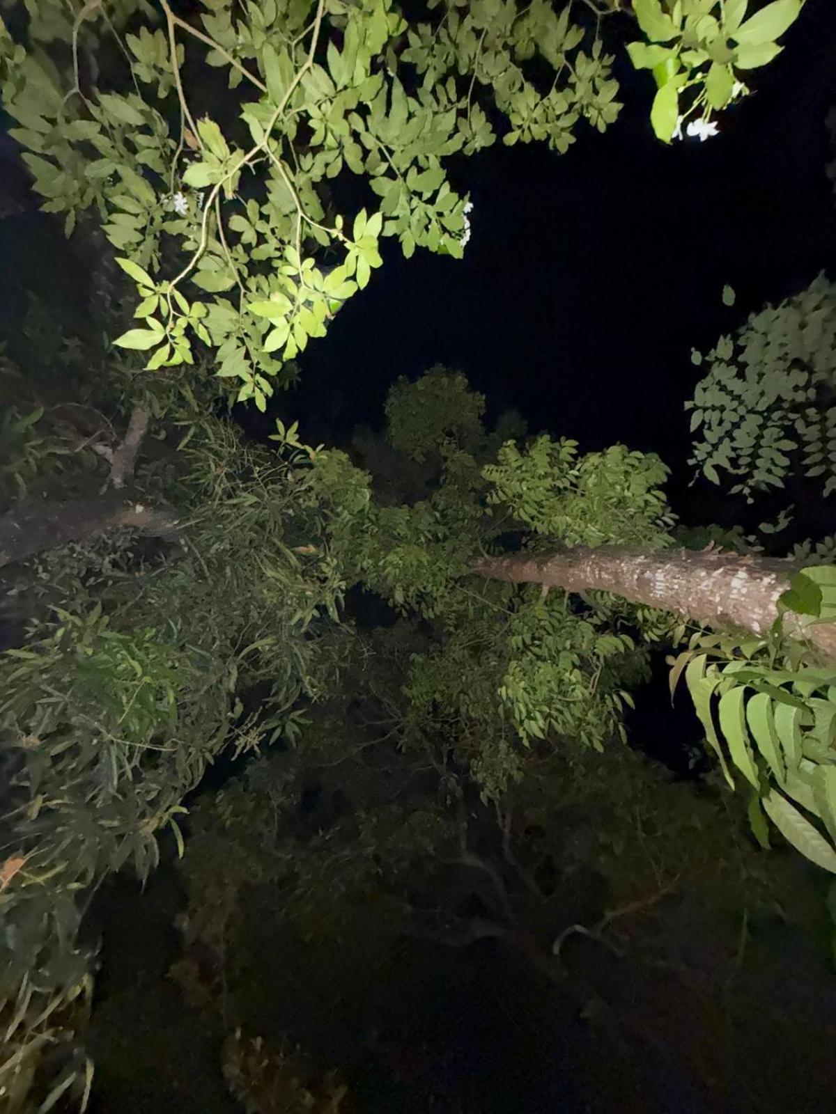 Marari Adonis Beach Villa Mararikulam Zewnętrze zdjęcie