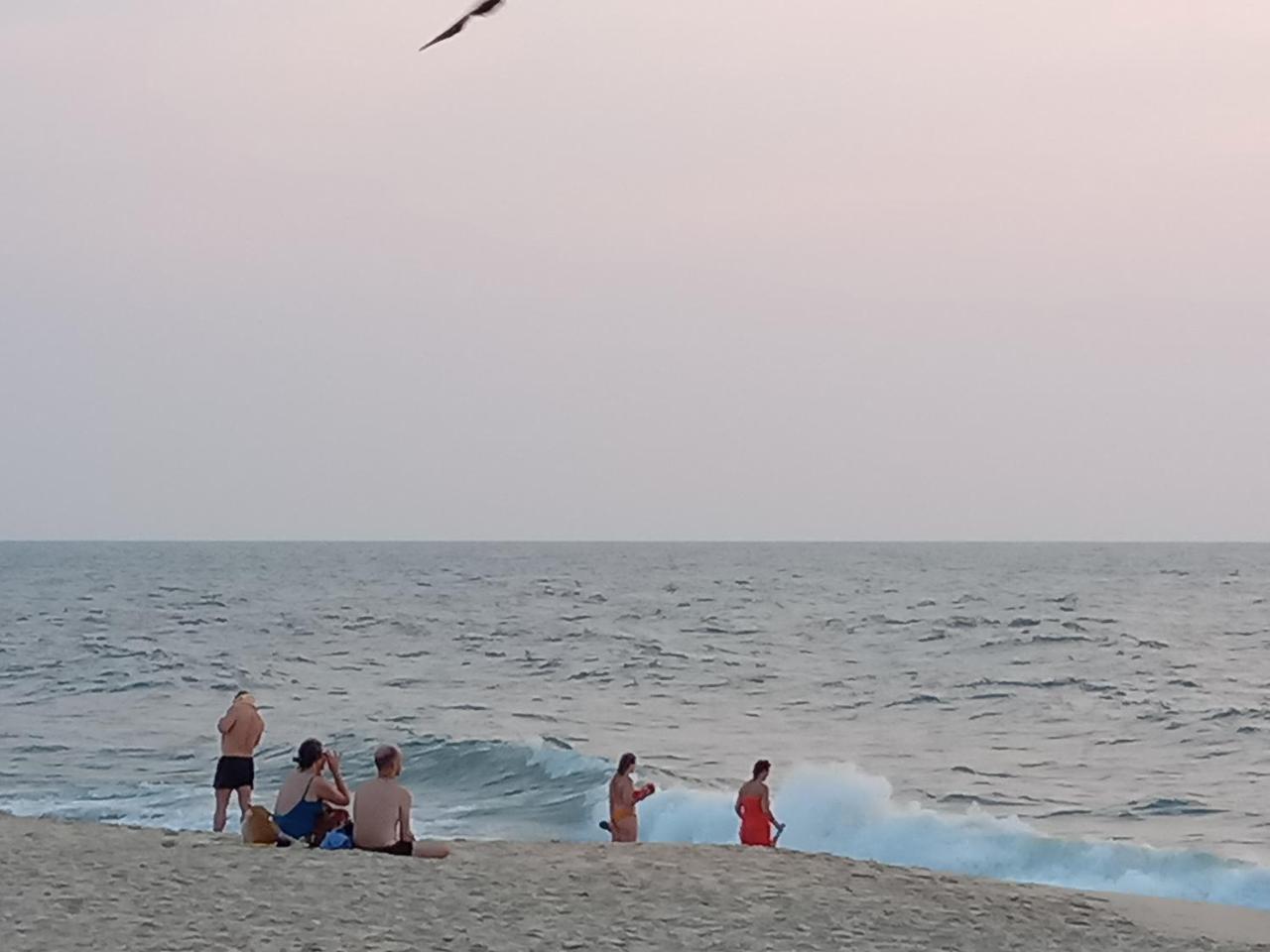 Marari Adonis Beach Villa Mararikulam Zewnętrze zdjęcie